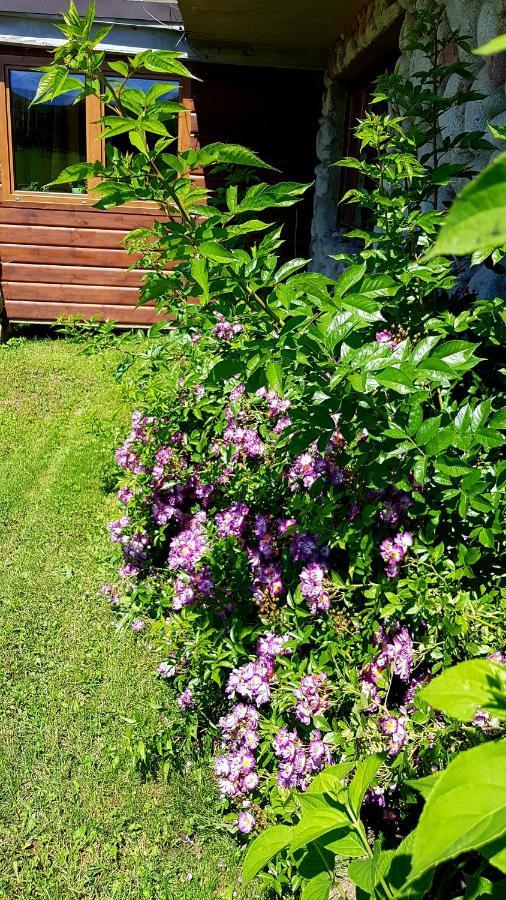 Antonowka Villa Trybsz Ngoại thất bức ảnh