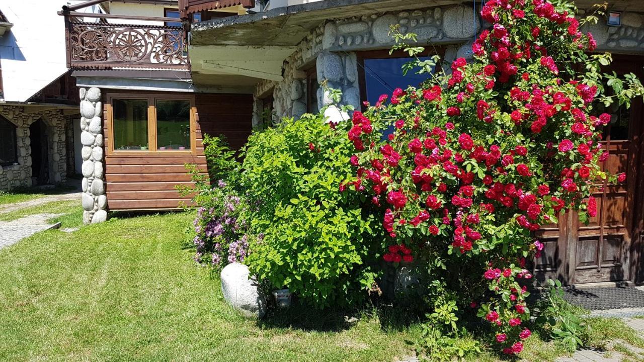 Antonowka Villa Trybsz Ngoại thất bức ảnh